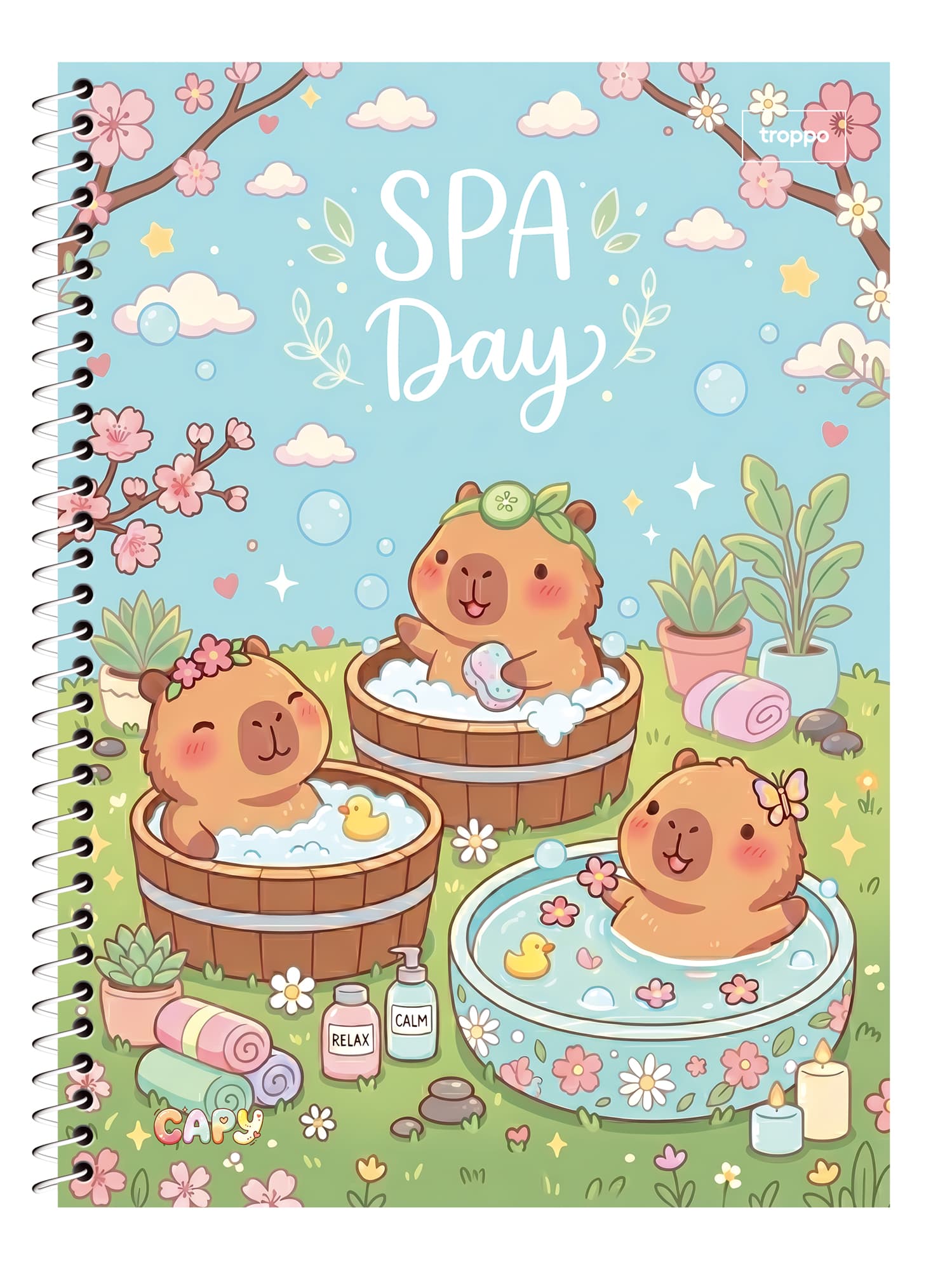 Caderno Universitário Capa Dura Capy